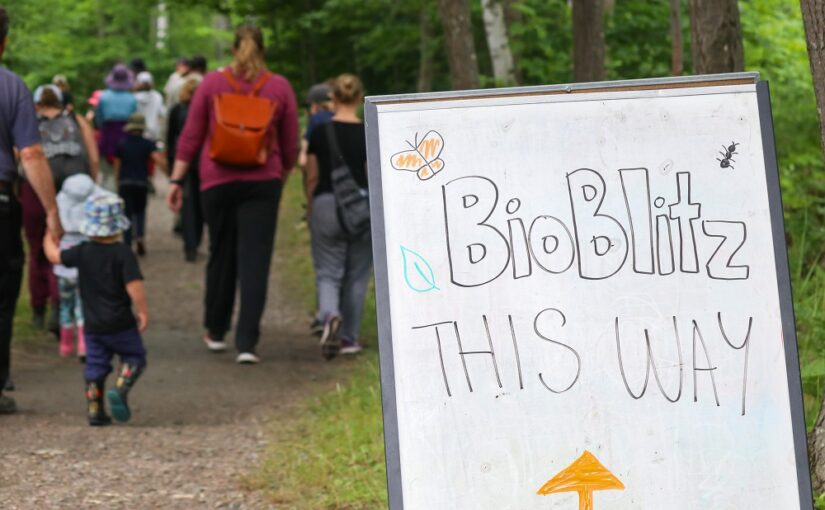 sign reading "Bioblitz this way" with visitors walking along path