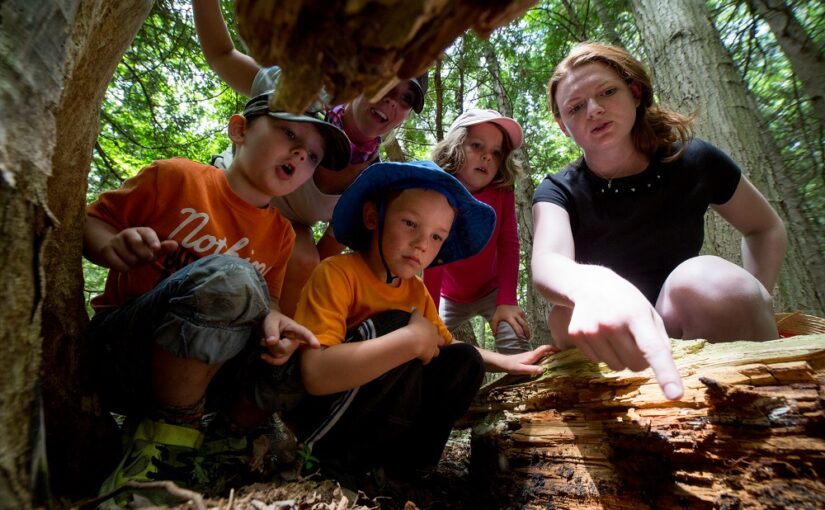 children and teacher looking at fallen log