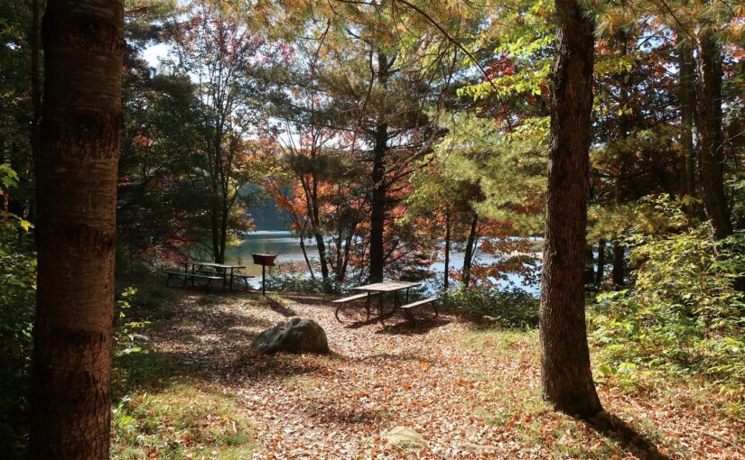 campsite with picnic table coloured with fall foliage
